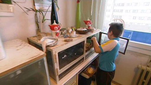 Jak se chovat k… hadovi