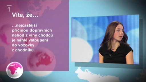 Miniparlament: Křižovatky