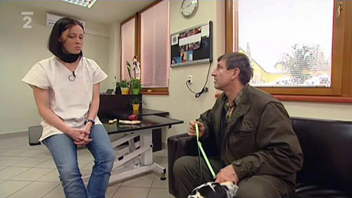 Co všechno psi sežerou