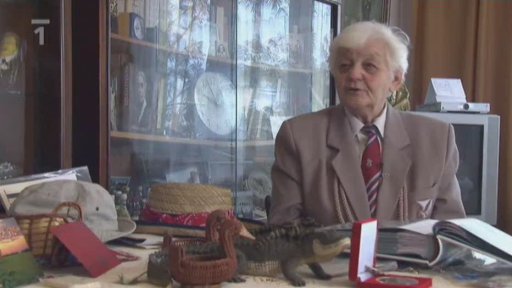 Pozvání do Texasu mezi Sokoly na XXII. sokolský slet