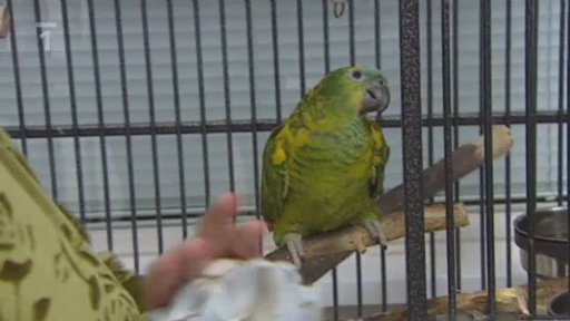 G centrum v Táboře