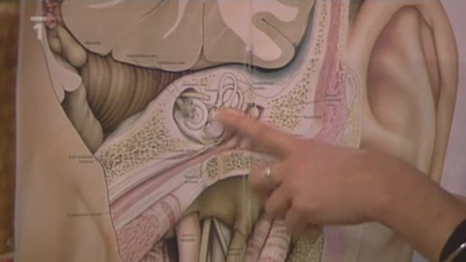 Sluchově postižení