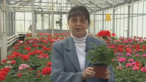 Výzkumný ústav Silva Taroucy pro krajinu a okrasné zahradnictví