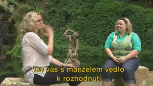 Odstěhovat se za prací