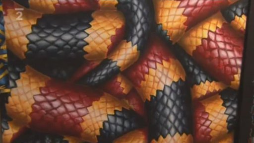 Portrét: Roman Franta