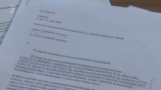 Střet s velkým zvířetem na silnici