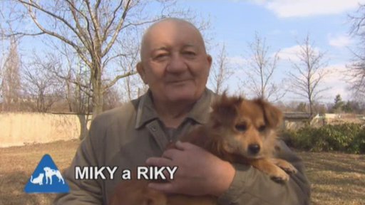 Útulek Chomutov a Jirkov