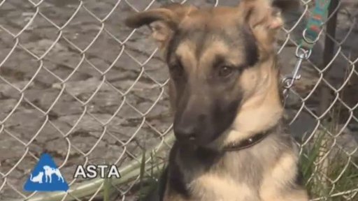 Nabídka z depozita o.s. Chlupáči v nouzi ve Zbraslavi