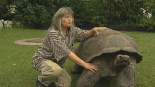 Seriál o zvířatech v zoo