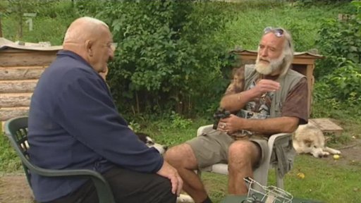 Reportáž o vlcích