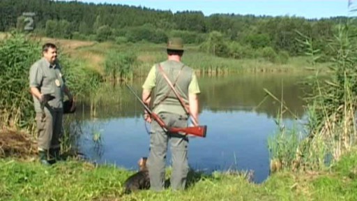 Jak se cvičí jezevčíci