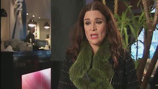 Výběr témat do médií