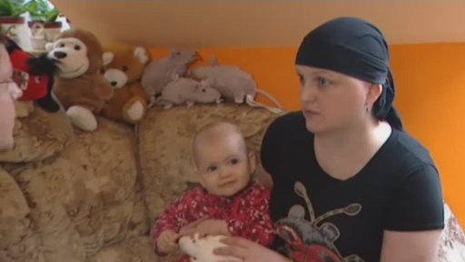 Ústav pro jazyk český