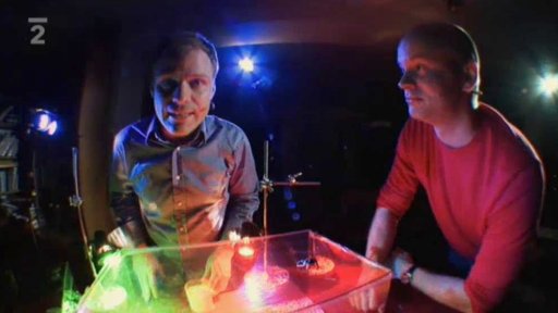 Vlídný lapač pavouků