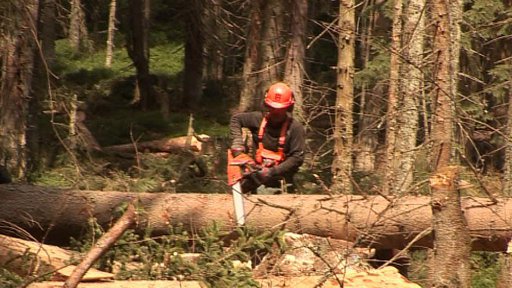 Znamená konec kácení konec blokády?
