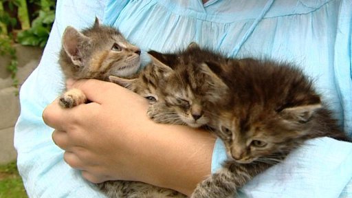 Podvodníci se na Karlovarsku vydávají za pracovníky charity