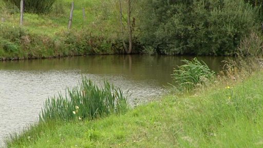 Senátor Nenutil chce prověřit hospodaření toužimské lesní správy