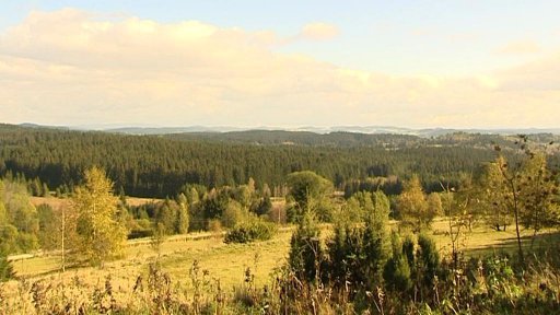 Kůrovec ze Šumavy lesy v Rakousku neničil