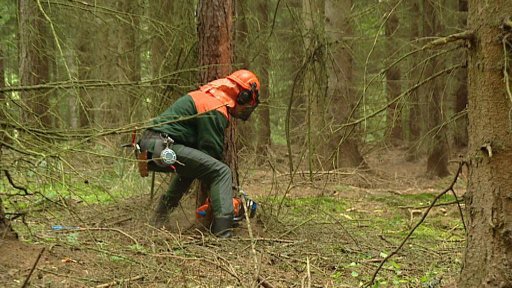 ÚOHS pozastavil předběžným opatřením 7,5 milionový tendr Lesů ČR
