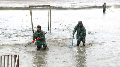 Komplikace při výlovech rybníků v Hradci Králové.