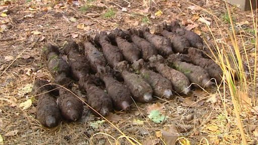 Les u Jaroměře ukrýval dělostřelecké miny