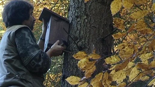 Ochranáři na Vysočině letos instalují 120 nových budek pro ptáky