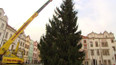 Vánoční strom pro Pardubice