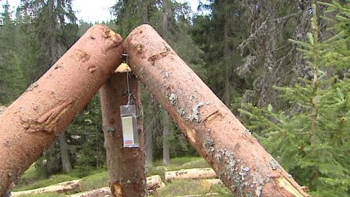 MŽP k používání chemie na Šumavě