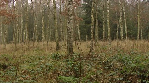 Problémy s vracením lesů obcím