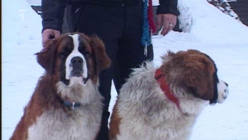 Krušnohorská lyžařská magistrála