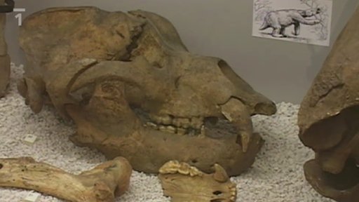 Chlupáčovo muzeum Země