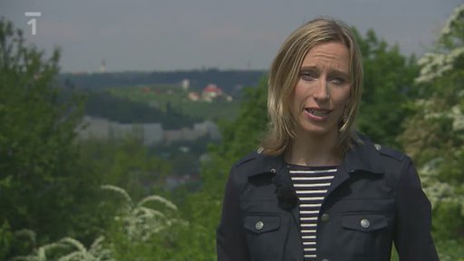 Rozhovor s Hanou Scharffovou