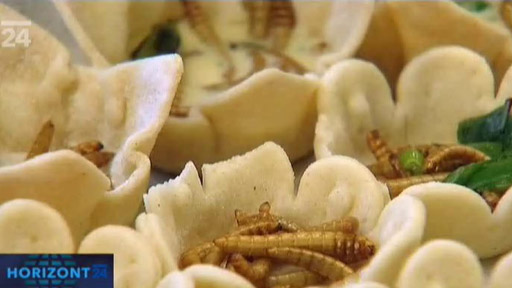 Červi místo steaku