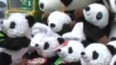 Pandy jdou do světa