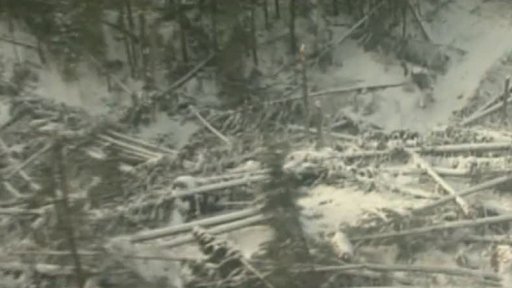 Tatry 7 let po vichřici