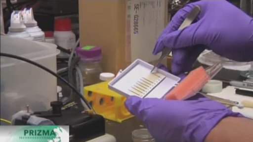 Solární panely na polích a loukách