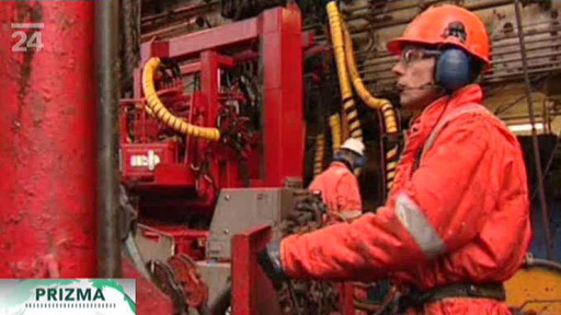 Španělští vědci špehují velryby