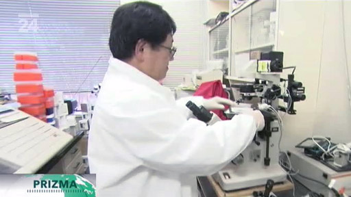 Zmrazení bez poničení buněk