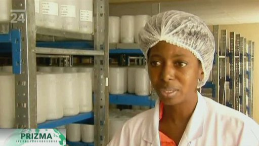 Jed škorpiónů proti rakovině