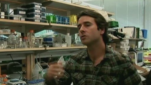 Tajemství dlouhověkosti