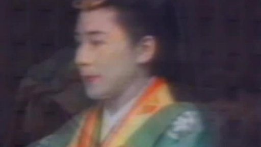 Korunní princ Naruhito a korunní princezna Masako (1993)