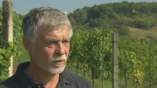 Soutěž o nejlepší pražské víno