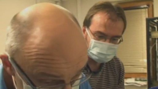 Gorilí mládě cestuje