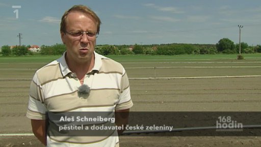 Mutant bakterie E. coli kosí obyvatele i zeleninový trh Evropy