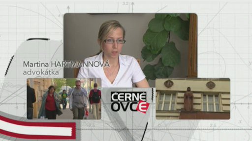 Přidělení právníka