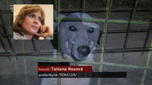 Psi odsouzení ke smrti