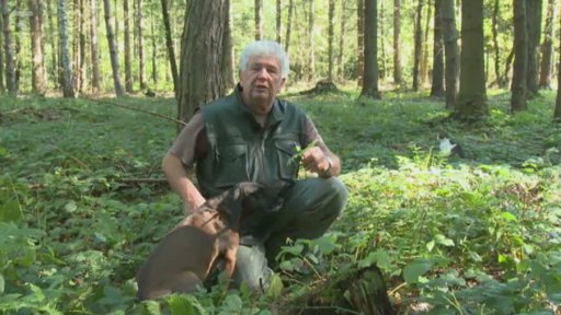 Vycházky s Václavem Chaloupkem