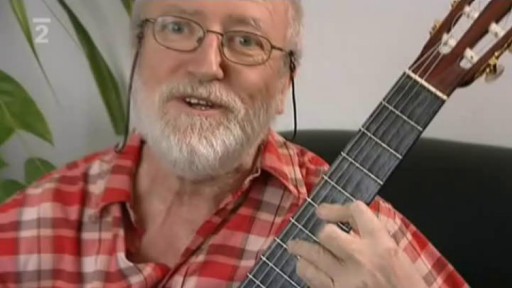 Kytarista Štěpán Rak