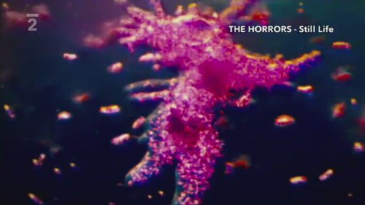 Zoom: The Horrors