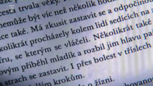 Na úvod: Webové stránky českých literátů